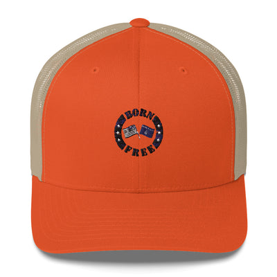 Trucker Cap - Appeal to Heaven USA